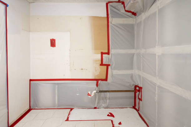 Best Residential Mold Inspection & Testing  in University Heights, IA