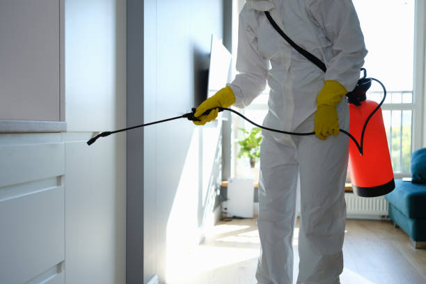Best Industrial Mold Remediation  in University Heights, IA