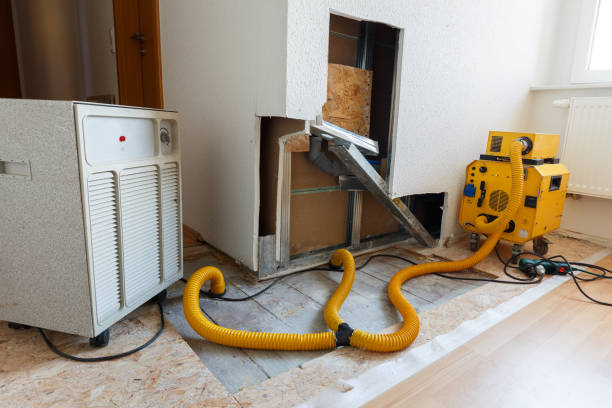 Best Air Quality Testing for Mold Spores  in University Heights, IA