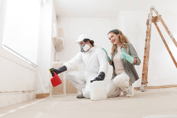 Best Attic Mold Removal  in University Heights, IA